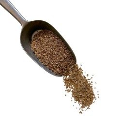 Kräutertee Grüner Anis Samen 100g