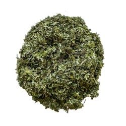 Tisane Armoise feuille 250 GRS CT Artemisia vulgaris