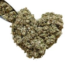 Tisane Artichaut feuille CT 100 GRS  Cynara scolymus.