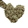 Tisane Artichaut feuille CT 100 GRS  Cynara scolymus.
