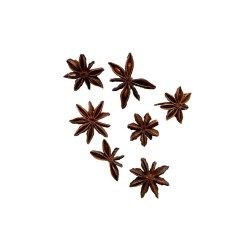 Tisane Anis étoilé ( Badiane) 1 Kg Illicium verum