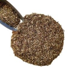 Kräutertee Aurône männliche Pflanze 100 GRS Artemisia abrotanum.