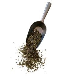 Tisane Ballote Fétide 250 GRS (Marrube Noir) plante Ballota nigra.