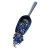 Tisane Bleuet fleur et calice ENTIER 20 grs Centaurea cyanus