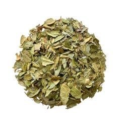 Tisane Boldo feuille 1 KILO Peumus boldus.