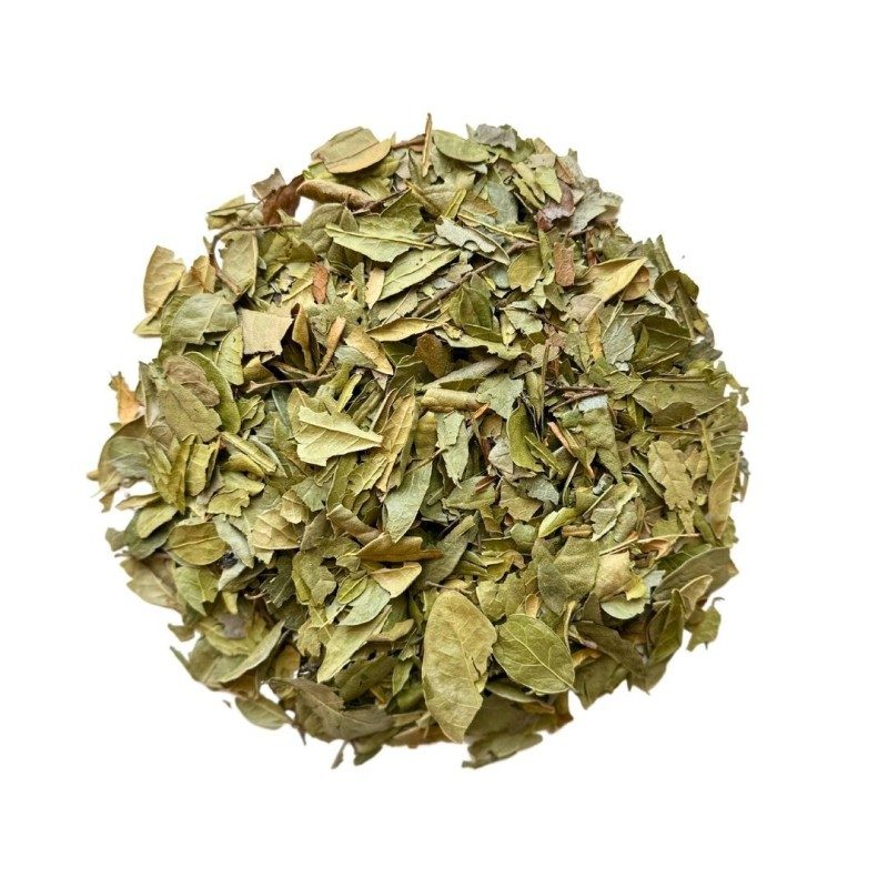 Tisane Boldo feuille 1 KILO Peumus boldus.