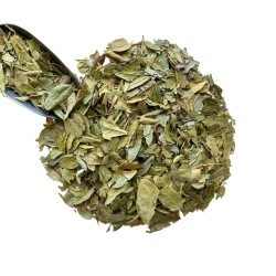 Tisane Boldo feuille 1 KILO Peumus boldus.