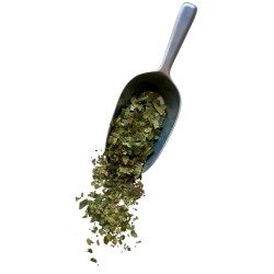 Tisane Bouleau feuille 250 GRS Betula alba.