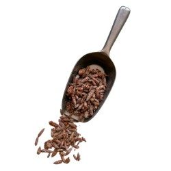 Tisane Bourgeon de PIN extra 100 GRS ENTIER Pinus sylvestris.