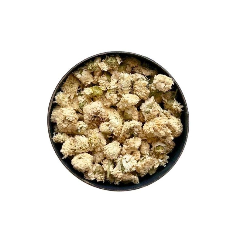 Tisane Camomille Romaine capitule floral ENTIER EXTRA 50 grs Anthemis no Tisane Camomille Romaine capitule floral ENTIER EXTRA 50 grs Anthemis no
