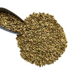 Tisane Cardamone de Ceylan 100 GRS fruit ENTIER Elettaria cardamomum