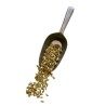Tisane Cardamone de Ceylan 100 GRS fruit ENTIER Elettaria cardamomum