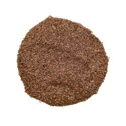 Kräutertee Kümmel Samen VOLLSTÄNDIG 100 GRS Carum carvi.