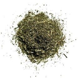 Tisane Cataire plante 1 KILO Nepeta cataria.