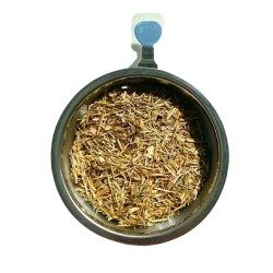 Tisane Centaurée simple 1 KILO ou Petite Centaurée sommité fleurie Eryth