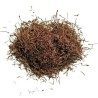 Tisane Cerise Queue ENTIERE 100 GRS Prunus cerasus.
