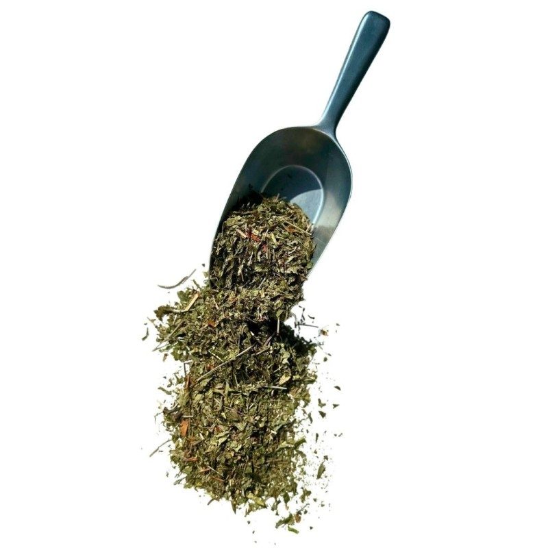 Tisane Aspérule odorante 100 GRS plante Asperula odorata Tisane Aspérule odorante 100 GRS plante Asperula odorata