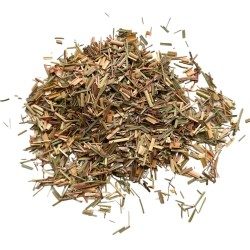 Tisane Citronnelle  plante 250 GRS Cymbopogon citratus.