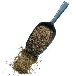 Kräutertee Kreuzkümmel Samen 250 GRS Cuminum cyminum.