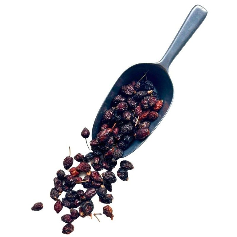 Tisane Cynorrhodon (Eglantier) baie 1 KILO ENTIERE Rosa canina