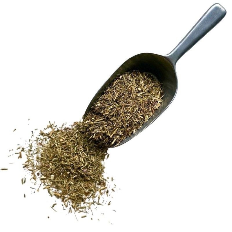 Tisane Erysimum 100 GRS (Herbe aux Chantres) plante Erysimum officinal Tisane Erysimum 100 GRS (Herbe aux Chantres) plante Erysimum officinal
