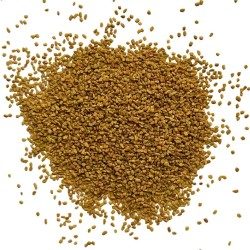 Kräutertee Bockshornkleesamen 250 GRS VOLLSTÄNDIG Trigonella foenum-graecum.