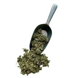 Himbeere (rubus idaeus) - 100g