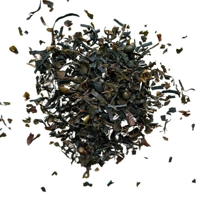 Tisane Fucus vésiculeux 100 GRS (Varech) thalleFucus vesiculosus Tisane Fucus vésiculeux 100 GRS (Varech) thalleFucus vesiculosus