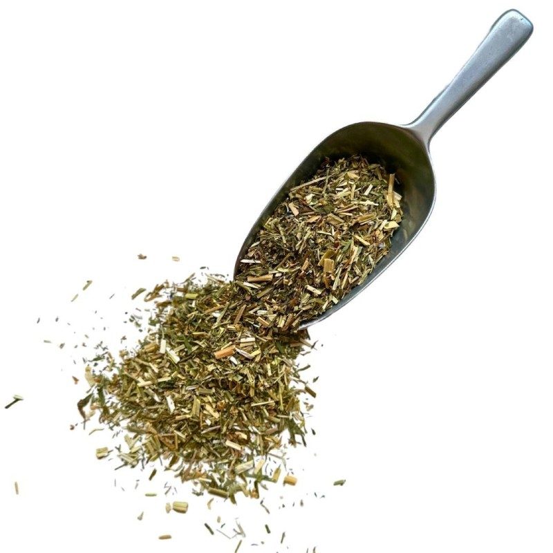 Tisane Galéga plante 100 grs Galéga officinalis. Tisane Galéga plante 100 grs Galéga officinalis.
