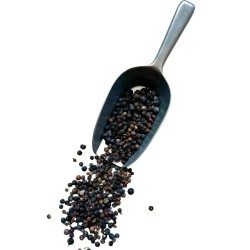 Kräutertee Wacholderbeere 250 grs Juniperus communis.