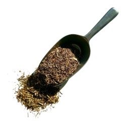 Tisane Géranium robert plante 100 grs Geranium robertianum