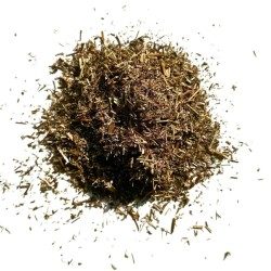 Tisane Géranium robert plante 100 grs Geranium robertianum