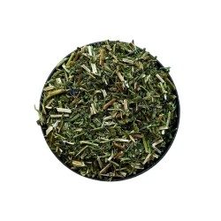 Kräutertee Ysop Pflanze 1 KILO Hyssopus officinalis.