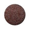 Tisane Ispaghul (Psyllium Rose) semence 1 KILO Plantago ovata