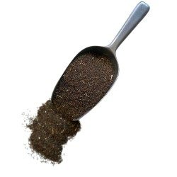 Khella Frucht 100 GRS ( amni visnaga) 