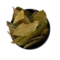 Kräutertee Lorbeerblatt Sauce 100 GRS Laurus nobilis.