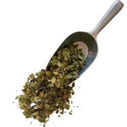 Kletternder Efeu Blatt 100 GRS Hedera helix.