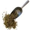 Lycopodium Pflanze 100 GRS Lycopodium clavatum.