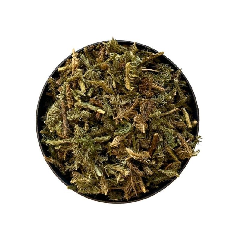 Vis De Purge D'étrier De Frein Longue - Filetage M6 - Pièce Détachée Auto/moto Générique