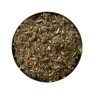 Marrubium Weiße Pflanze 100 Marrubium vulgare