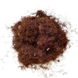 Mais stigmatisiert VOLLSTÄNDIG (Bart) 100 GRS Zea Mais