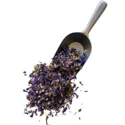 Mauve du Nord fleur 50 GRS ENTIERE SUPER CHOIX Malva sylvestris