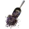 Mauve du Nord fleur 50 GRS ENTIERE SUPER CHOIX Malva sylvestris