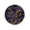 Mauve du Nord fleur 50 GRS ENTIERE SUPER CHOIX Malva sylvestris