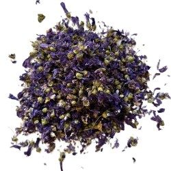 Nordische Malve Blume 250 GRS VOLLSTÄNDIG SUPER CHOIX Malva sylvestris
