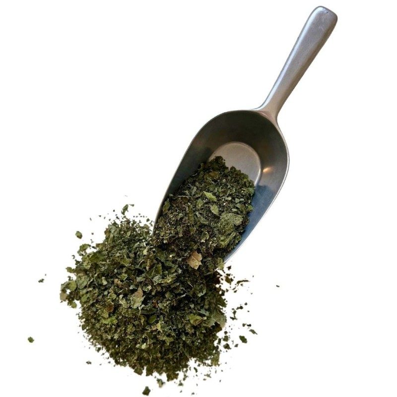 Mélisse bouquet 100 GRS Mélissa officinalis