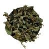 Pfefferminzblatt GANZES Blatt 50 GRS Mentha piperita