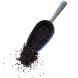 Moutarde noire graine ENTIERE 250 g Sinapis nigra