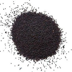 Moutarde noire graine ENTIERE 250 g Sinapis nigra