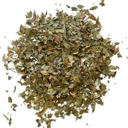 Myrte GANZES Blatt 100 GRS Myrtus communis.